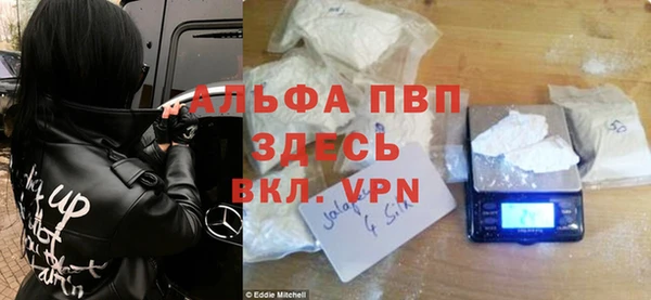 гидра Арсеньев