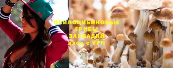 гидра Арсеньев