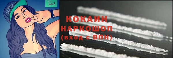 гидра Арсеньев