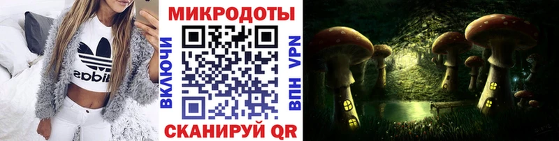 где продают наркотики  Балашов  Галлюциногенные грибы ЛСД 
